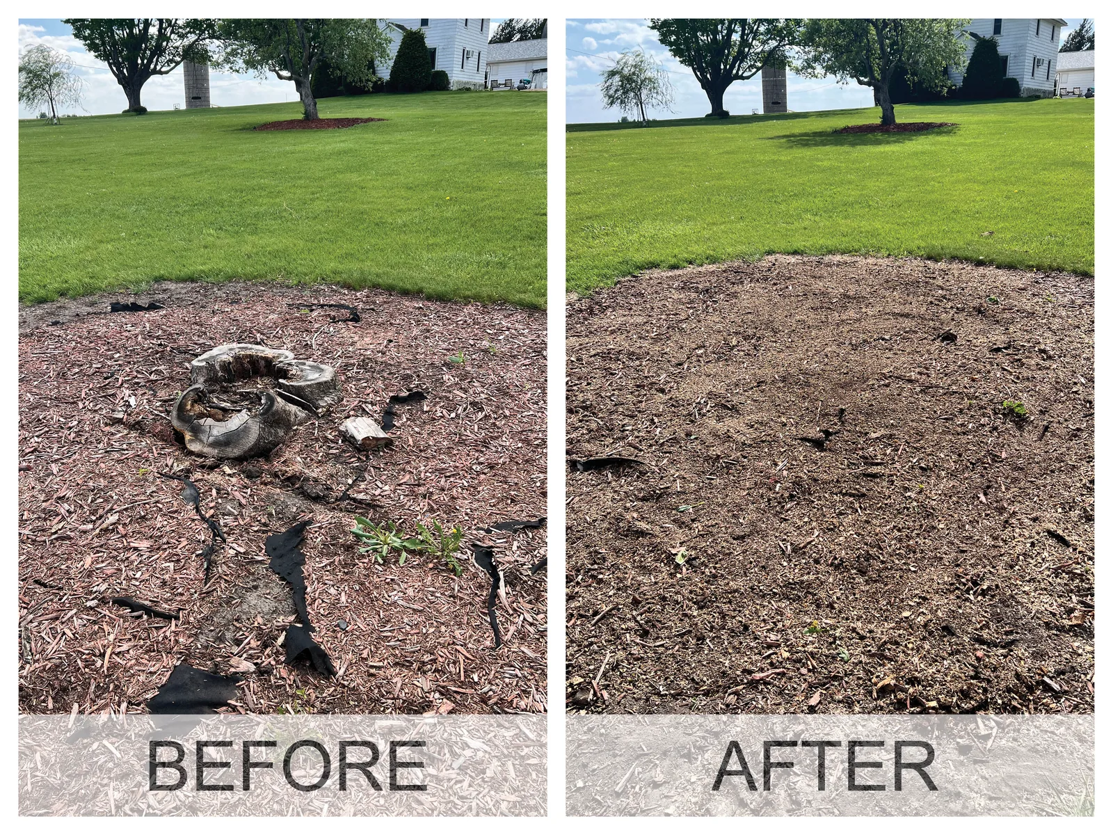 Before and after a stump grinding job in the Cedar Valley