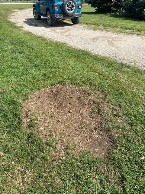 Stump grinding job photo from Tonya Neuberger's review