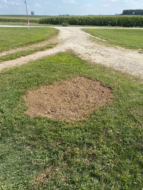 Stump grinding job photo from Tonya Neuberger's review