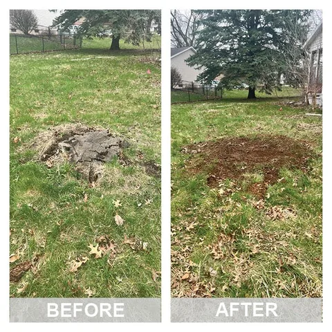 Stump grinding job photo from Victoria Platt's review