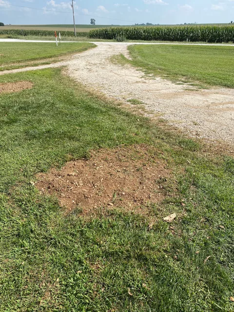 Stump grinding job photo from Tonya Neuberger's review